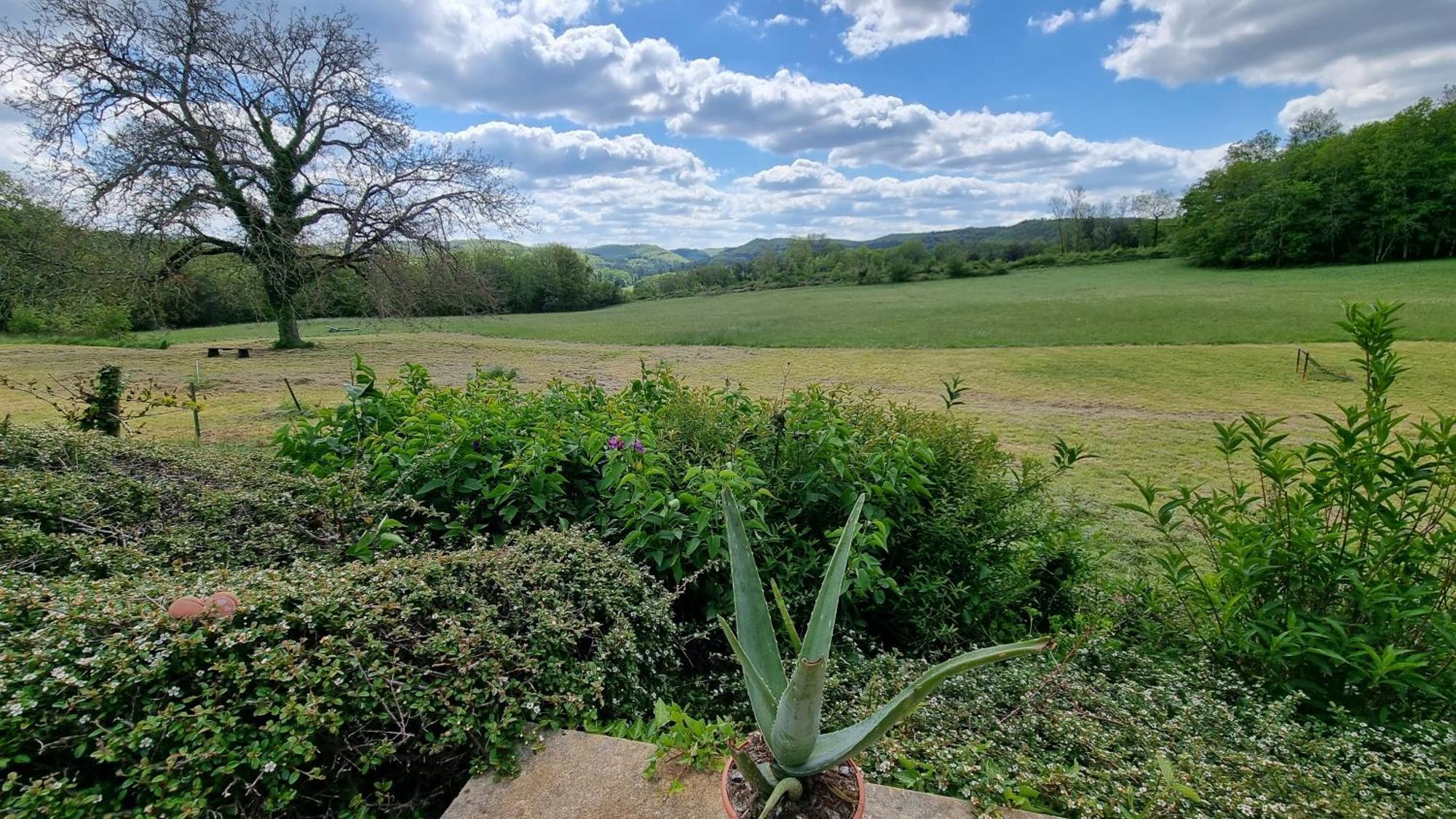 Hébergement de vacances Domaine Du Raysse Saint-Cirq (Dordogne)