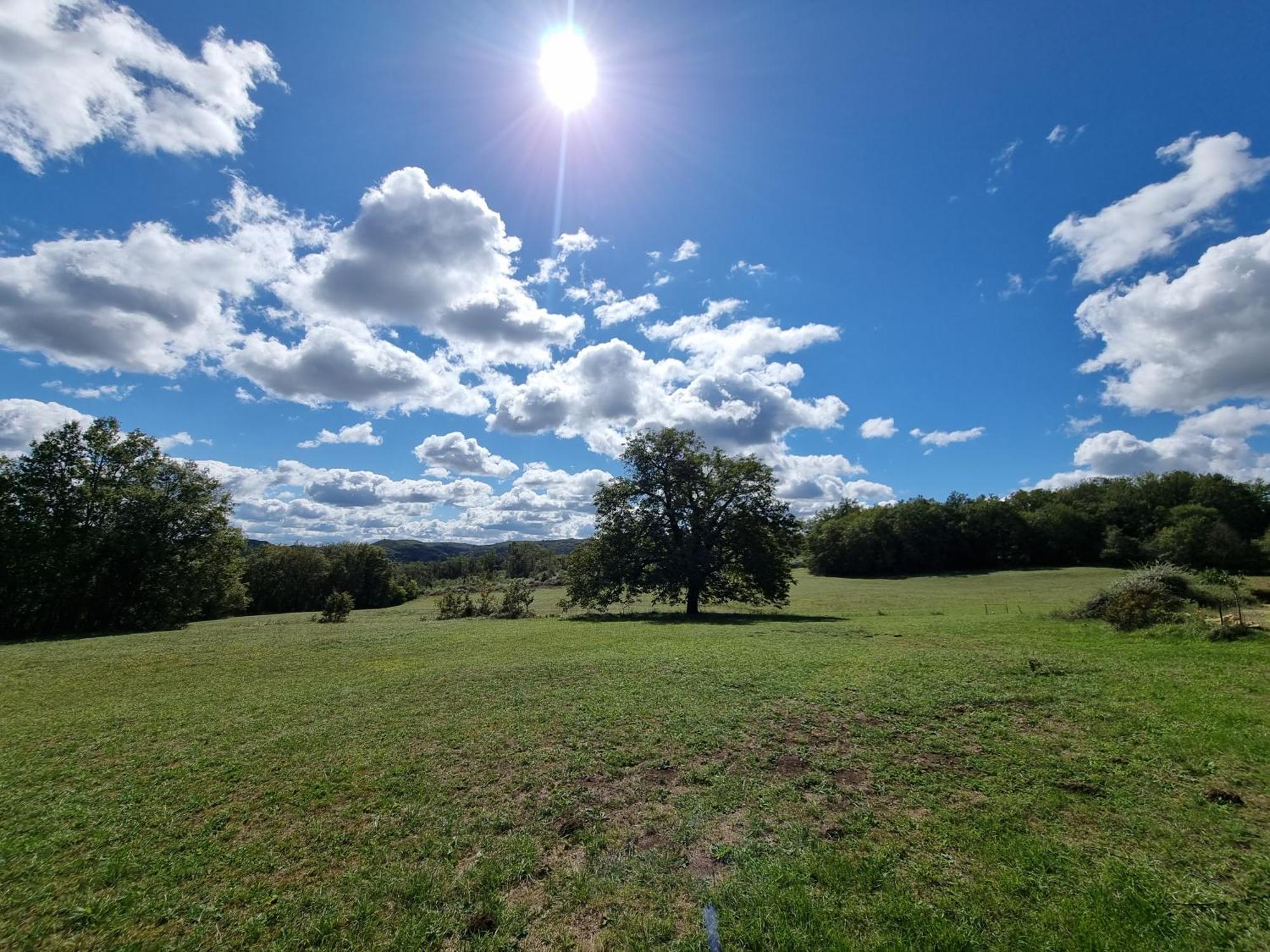 Domaine Du Raysse * Saint-Cirq (Dordogne)